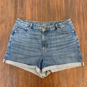 American Eagle Outfitters Women's Blue Denim Shorts